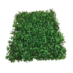 ⁠Vertical Garden Daun Dolar