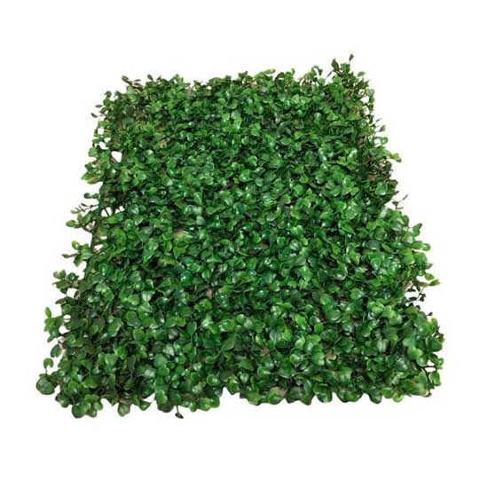 Vertical Garden Daun Dolar