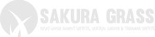 rumputsintetis logo white