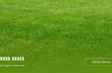 Promo Rumput Sintetis Jakarta